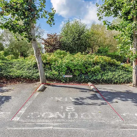 Condor 18 P * ニーウポールト